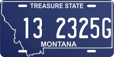 MT license plate 132325G