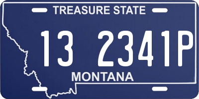 MT license plate 132341P