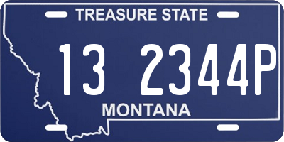 MT license plate 132344P