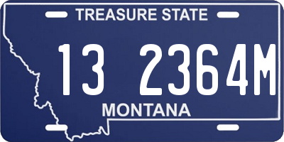 MT license plate 132364M