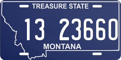 MT license plate 132366O