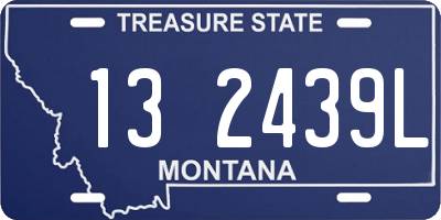 MT license plate 132439L