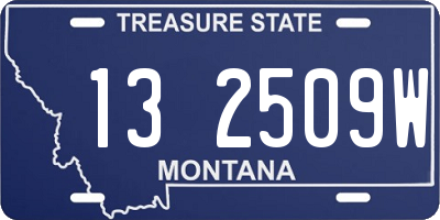 MT license plate 132509W