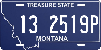 MT license plate 132519P