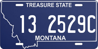 MT license plate 132529C