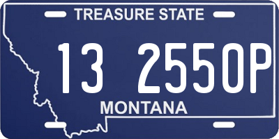 MT license plate 132550P