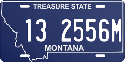 MT license plate 132556M