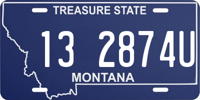 MT license plate 132874U