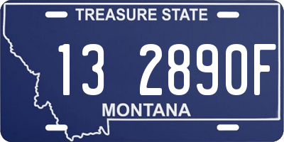 MT license plate 132890F
