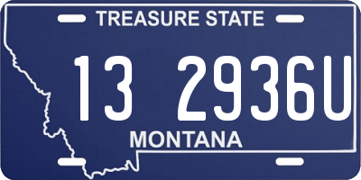 MT license plate 132936U