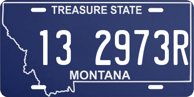MT license plate 132973R