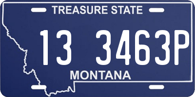 MT license plate 133463P