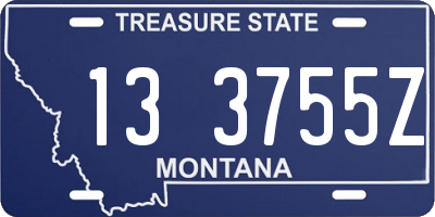 MT license plate 133755Z