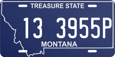 MT license plate 133955P