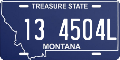 MT license plate 134504L