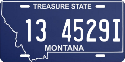 MT license plate 134529I