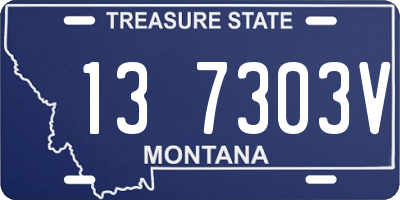MT license plate 137303V