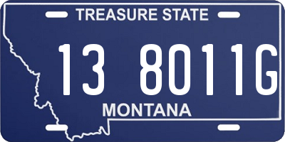 MT license plate 138011G