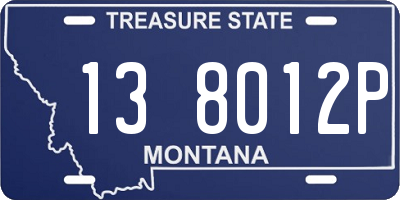 MT license plate 138012P