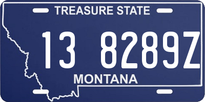 MT license plate 138289Z