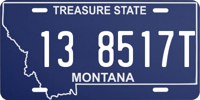 MT license plate 138517T
