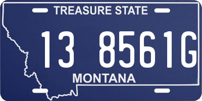 MT license plate 138561G