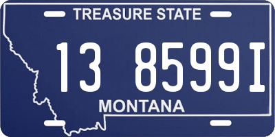 MT license plate 138599I