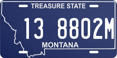 MT license plate 138802M