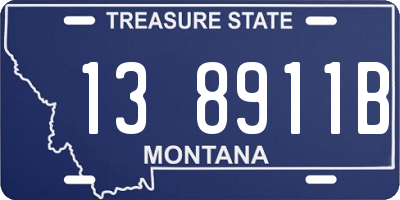 MT license plate 138911B