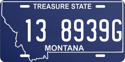 MT license plate 138939G