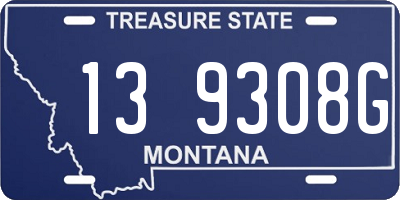 MT license plate 139308G