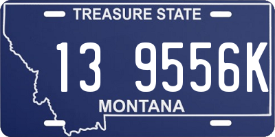 MT license plate 139556K