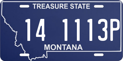 MT license plate 141113P