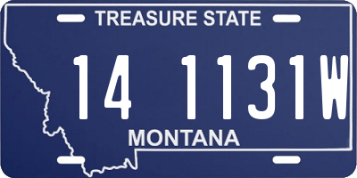 MT license plate 141131W