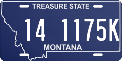 MT license plate 141175K