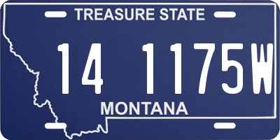 MT license plate 141175W