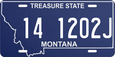 MT license plate 141202J