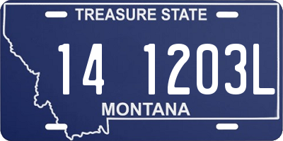MT license plate 141203L
