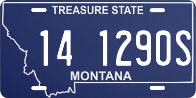 MT license plate 141290S