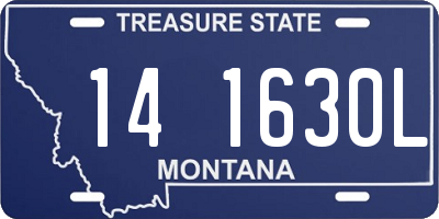 MT license plate 141630L