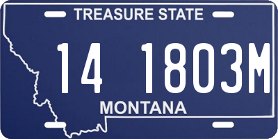 MT license plate 141803M