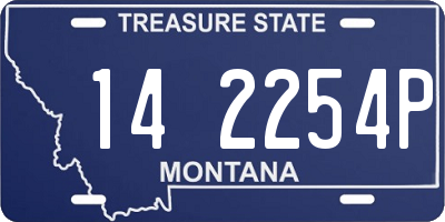 MT license plate 142254P