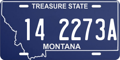 MT license plate 142273A