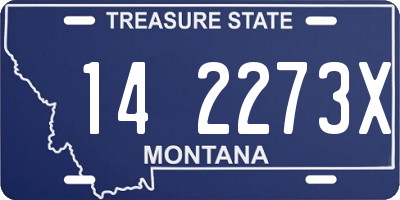 MT license plate 142273X