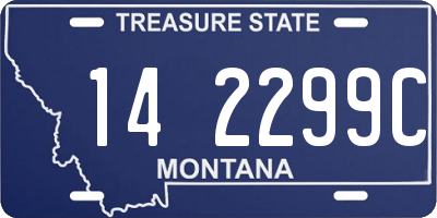 MT license plate 142299C