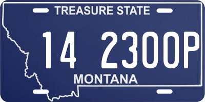 MT license plate 142300P