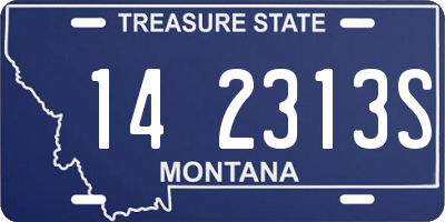 MT license plate 142313S