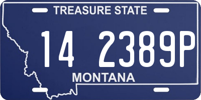 MT license plate 142389P