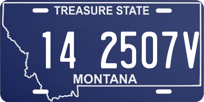 MT license plate 142507V