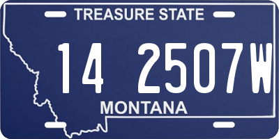 MT license plate 142507W